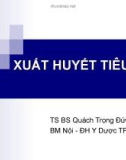 Bài giảng Xuất huyết tiêu hóa - TS. BS Quách Trọng Đức