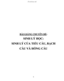 Bài giảng chuyên đề Sinh lý học: Sinh lý của Tiểu cầu, Bạch cầu và Hồng cầu