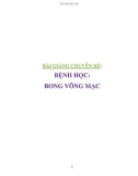 Bài giảng chuyên đề Bệnh học: Bong võng mạc