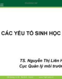 Bài giảng Các yếu tố sinh học - TS. Nguyễn Thị Liên Hương