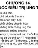 Bài giảng Chương 14: Thuốc điều trị ung thư