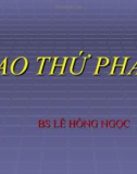 Bài giảng Lao thứ phát - BS. Lê Hồng Ngọc