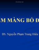 Bài giảng Viêm màng bồ đào - BS. Nguyễn Phạm Trung Hiếu