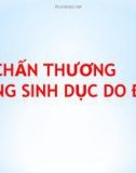 Bài giảng Các chấn thương đường sinh dục do đẻ