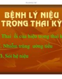 Bài giảng Bệnh lý niệu trong thai kỳ - BS. Nguyễn Anh Danh