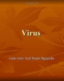 Bài giảng Virus - Lê Trần Nguyễn