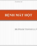 Bài giảng Bệnh mắt hột - BS. Phạm Thành Luân