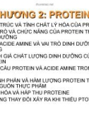 Bài giảng Dinh dưỡng học: Chương 2 - Hồ Xuân Hương