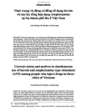 Thực trạng và động cơ đồng sử dụng ma túy tổng hợp dạng Amphetamine tại ba thành phố lớn ở Việt Nam