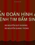 Bài giảng Chẩn đoán hình ảnh bệnh tim bẩm sinh