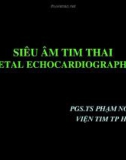 Siêu âm tim thai - PGS.TS Phạm Nguyễn Vinh