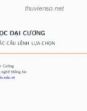 Bài giảng Tin học đại cương: Bài 5 - Phạm Xuân Cường