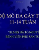 Bài giảng Độ mờ da gáy thai 11-14 tuần - Th.S BS. Hà Tố Nguyên