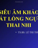 Bài giảng Siêu âm khảo sát lồng ngực thai nhi - TS.BS. Lê Thi Thu Hà