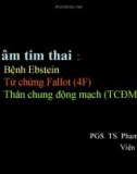 Bài giảng Siêu âm tim thai: Bệnh Ebstein, tứ chứng Fallot, thân chung động mạch - PGS.TS Phạm Nguyễn Vinh