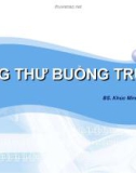 Bài giảng Ung thư buồng trứng - BS. Khúc Minh Thúy