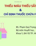 Bài giảng Thiếu máu thiếu sắt và chỉ định thuốc chứa Fe - BS. Phạm Quý Trọng