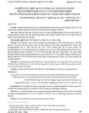 Nghiên cứu hiệu quả và tính an toàn của pulse methylprednisolone và cyclophosphamide truyền tĩnh mạch ở bệnh nhân suy thận tiến triển nhanh