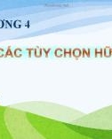 Bài giảng Tin học phần 2 - Chương 4: Các tùy chọn hữu ích khác