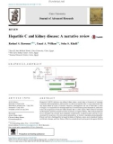 Hepatitis C and kidney disease: A narrative review