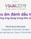 Bài giảng Siêu âm đánh dấu mô: Những ứng dụng trong lâm sàng - PGS.TS.BS Lê Minh Khôi