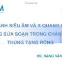 Bài giảng So sánh siêu âm và X quang bụng không sửa soạn trong chẩn đoán thủng tạng rỗng - BS. Đặng Văn Lắm