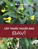 Cây thuốc của người Dao tại Ba Vì: Phần 1