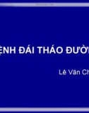 Bài giảng môn Nội bệnh lý: Bệnh đái tháo đường