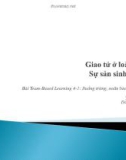 Bài giảng Buồng trứng, noãn bào, phôi và thai: Giao tử ở loài người và sự sản sinh giao tử