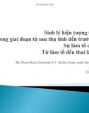 Bài giảng Buồng trứng, noãn bào, phôi và thai: Sinh lý hiện tượng thụ tinh - Hợp tử trong giai đoạn từ sau thụ tinh đến trước khi làm tổ - Sự làm tổ của phôi - Từ làm tổ đến thai lâm sàng