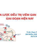 Bài giảng Chiến lược điều trị viêm gan B mạn giai đoạn hiện nay - Ts. Bs. Phạm Thị Lệ Hoa