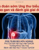 Bài giảng Chẩn đoán sớm ung thư biểu mô tế bào gan và đánh giá giai đoạn - PGS. TS. BS Bùi Hữu Hoàng