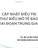 Bài giảng Cập nhật điều trị ung thư biểu mô tế bào gan giai đoạn trung gian - TS. BS. Lê Bá Thảo