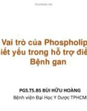 Bài giảng Vai trò của Phospholipid thiết yếu trong hỗ trợ điều trị bệnh gan - PGS.TS.BS Bùi Hữu Hoàng