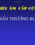 Bài giảng Siêu âm cấp cứu chấn thương bụng