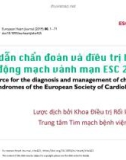 Bài giảng Hướng dẫn chẩn đoán và điều trị hội chứng động mạch vành mạn ESC 2019