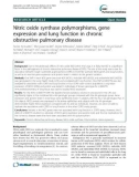 Nitric oxide synthase polymorphisms, gene expression and lung function in chronic obstructive pulmonary disease