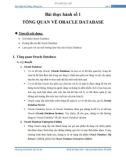 Bài thực hành Bảo mật hệ thống thông tin số 1: Tổng quan về Oracle Database