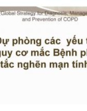 Bài giảng Dự phòng các yếu tố nguy cơ mắc bệnh phổi tắc nghẽn mạn tính