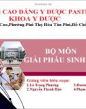 Bài giảng Giải phẫu sinh lý: Giải phẫu sinh lý hệ xương