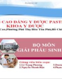 Bài giảng Giải phẫu sinh lý: Thay đổi giải phẫu và sinh lý người mẹ trong lúc mang thai