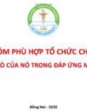 Bài giảng Nhóm phù hợp tổ chức chính và vai trò của nó trong đáp ứng miễn dịch - Đại học Lạc Hồng