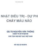 Bài giảng Cập nhật điều trị dự phòng chảy máu não - GS.TS. Nguyễn Văn Thông