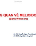 Bài giảng Tổng quan về Melioidosis (bệnh Whitmore) - BS. CKII Nguyễn Ngọc Thanh Quyên