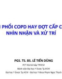 Bài giảng Viêm phổi COPD hay đợt cấp COPD: Nhìn nhận và xử trí - PGS. TS. BS. Lê Tiến Dũng