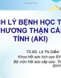 Bài giảng Sinh lý bệnh học tổn thương thận cấp tính (AKI) - TS.BS. Lê Thị Diễm Tuyết