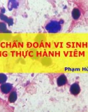 Bài giảng Chẩn đoán vi sinh trong thực hành viêm phổi