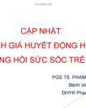 Bài giảng Cập nhật đánh giá huyết động học trong hồi sức sốc trẻ em - PGS.TS. Phạm Văn Quang