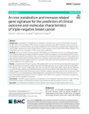 An iron metabolism and immune related gene signature for the prediction of clinical outcome and molecular characteristics of triple-negative breast cancer