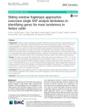 Sliding window haplotype approaches overcome single SNP analysis limitations in identifying genes for meat tenderness in Nelore cattle